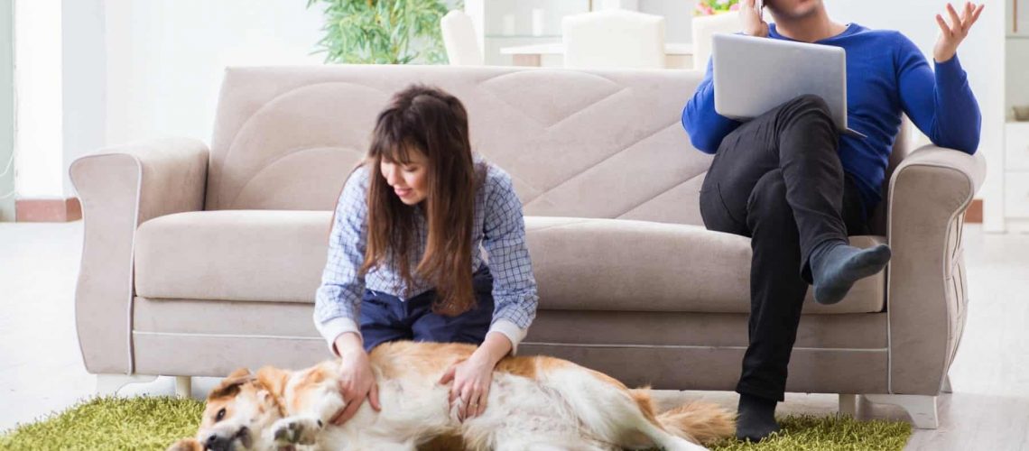 get rid of fleas