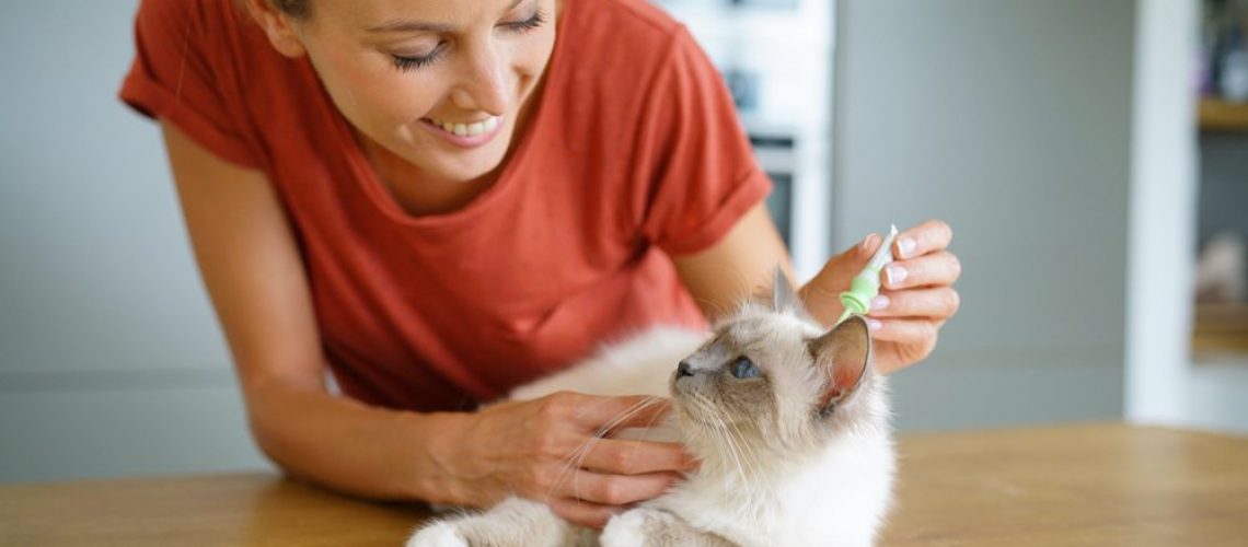 Woman,Injecting,Cat,Product,To,Prevent,From,Fleas