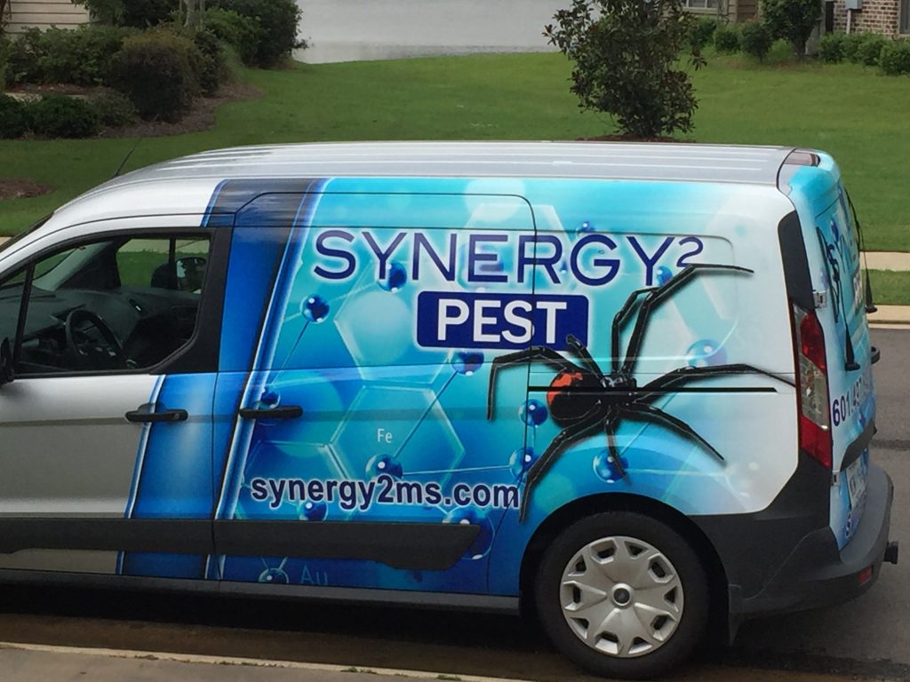 Pest-Service-Ridgeland-Exterminator-Near-Me-Jackson